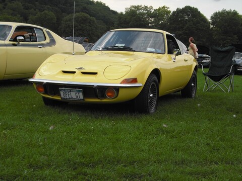 Yellow Bird @ Bear Mountain State Park