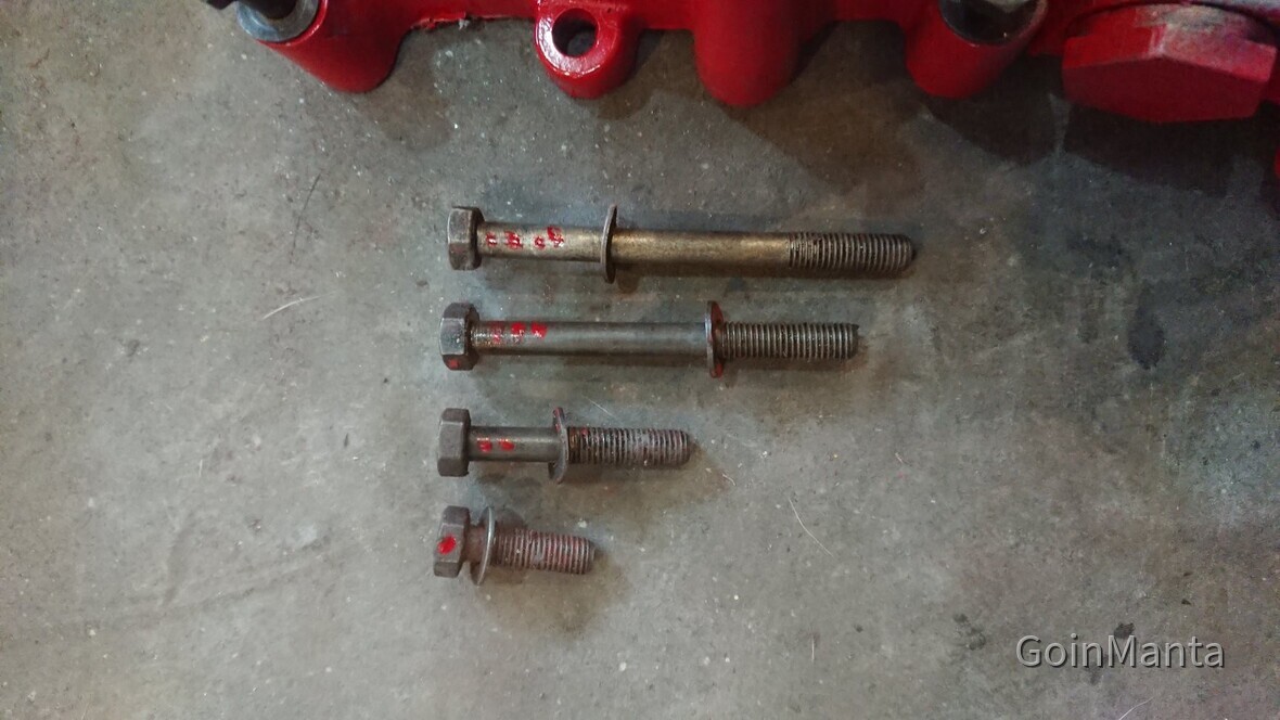 Timing bolt cover bolts