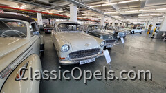Vintage Opels - Russelsheim 2021