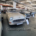 Vintage Opels - Russelsheim 2021